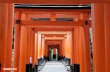 《京都・伏見稲荷大社》竹を傷つける外国人男性の迷惑行為動画が拡散、広報担当「…