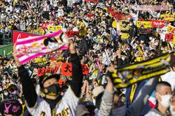 《虎が、嫌いだ。》《潰せガンバ》過激すぎるプロ野球・Jリーグ“非公式応援タオル”が物議、販売元が主張する“正当性”