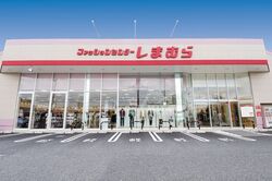 《しまむら×ドラクエ》で転売ヤー撲滅?“受注生産”告知も発売日に「183組並んでた」の謎、同社広報に聞いた大反響ぶり