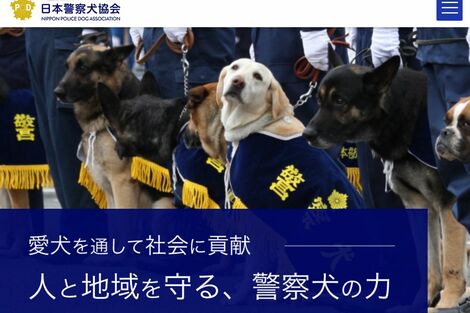 宮崎県初の“ポメラニアン警察犬”ハク号がネットで話題、警察犬訓練の専門家も期待する「シェパードにはない広報の役割」