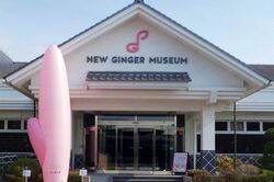 《栃木県栃木市》『岩下の新生姜』公式キャラ・イワシカちゃんのキレキレダンスが話題で「売上も2割強アップ」広報が明かした“絶大効果”