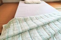 【知って楽しい雑学】梅雨から夏に増える「ダニ」、寝具のダニを増やさないプロのワザを伝授!