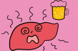 《50代から飲酒リスクが上昇》閉経後の過度な飲酒に注意!専門医が指南する病気にならない肝臓の守り方