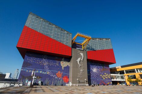 《日本一の水族館》大阪『海遊館』が再入館禁止に不満の声、同館に聞いた年間パスポート再販と新たな施策