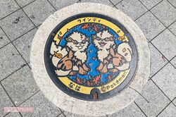 《ポケモンマンホール》沖縄県に4種の『ポケふた』追加も「アクセス難ばかり」の指摘、全国制覇まであと4県となった“設置条件”