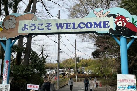 《市川市動植物園》パンチくん効果で公式Xフォロワー20万突破!「みんないい顔してる」お兄ちゃんへの成長と飼育員の“愛情”