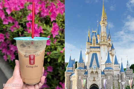 ディズニーランドへの「ゴンチャ持ち込み投稿」が“マナー違反では?”と波紋…規約の“死角”に広報部の回答は